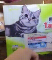 Γατάκι πετάγεται μέσα από κουτί